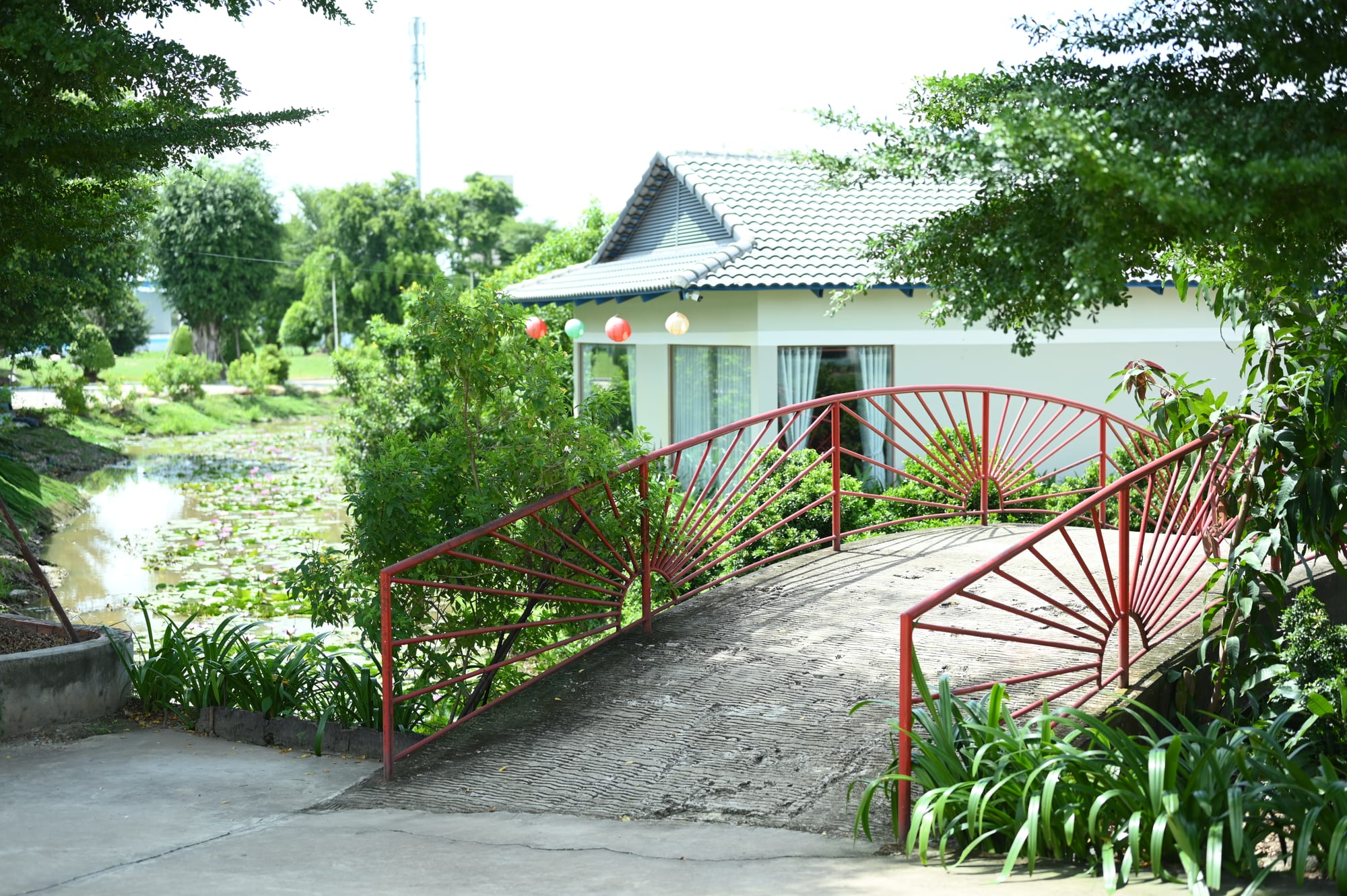 Cầu đỏ nhỏ bên các căn nhà nghỉ
